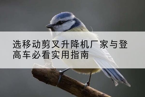 立山电动升降机厂家-选移动剪叉升降机厂家与登高车必看实用指南