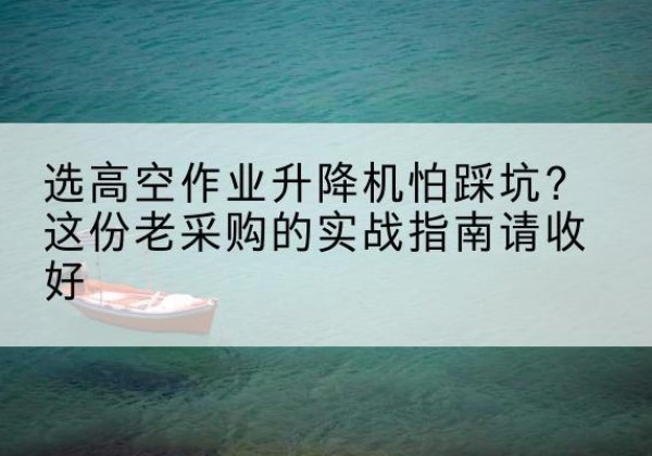 立山高空作业升降机厂家推荐-选高空作业升降机怕踩坑？这份老采购的实战指南请收好