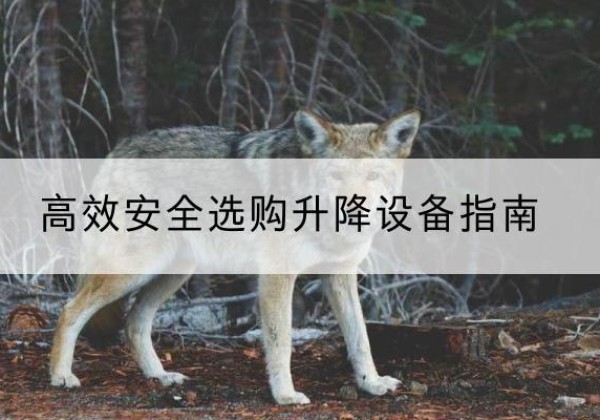 立山升降货梯厂家推荐-*安全选购升降设备指南