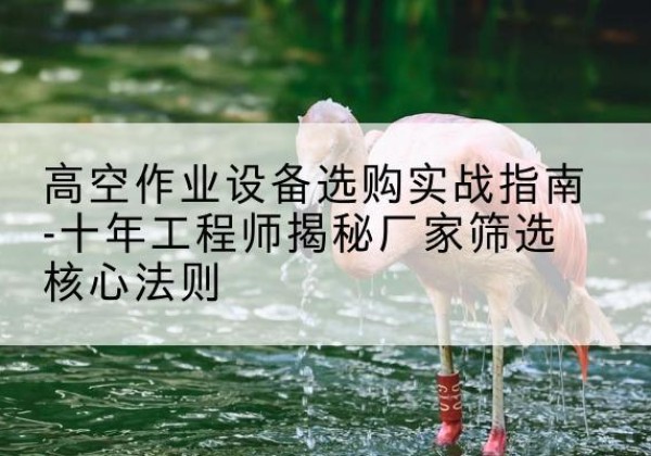 立山剪叉式升降机厂家-高空作业设备选购实战指南-十年工程师揭秘厂家筛选核心法则